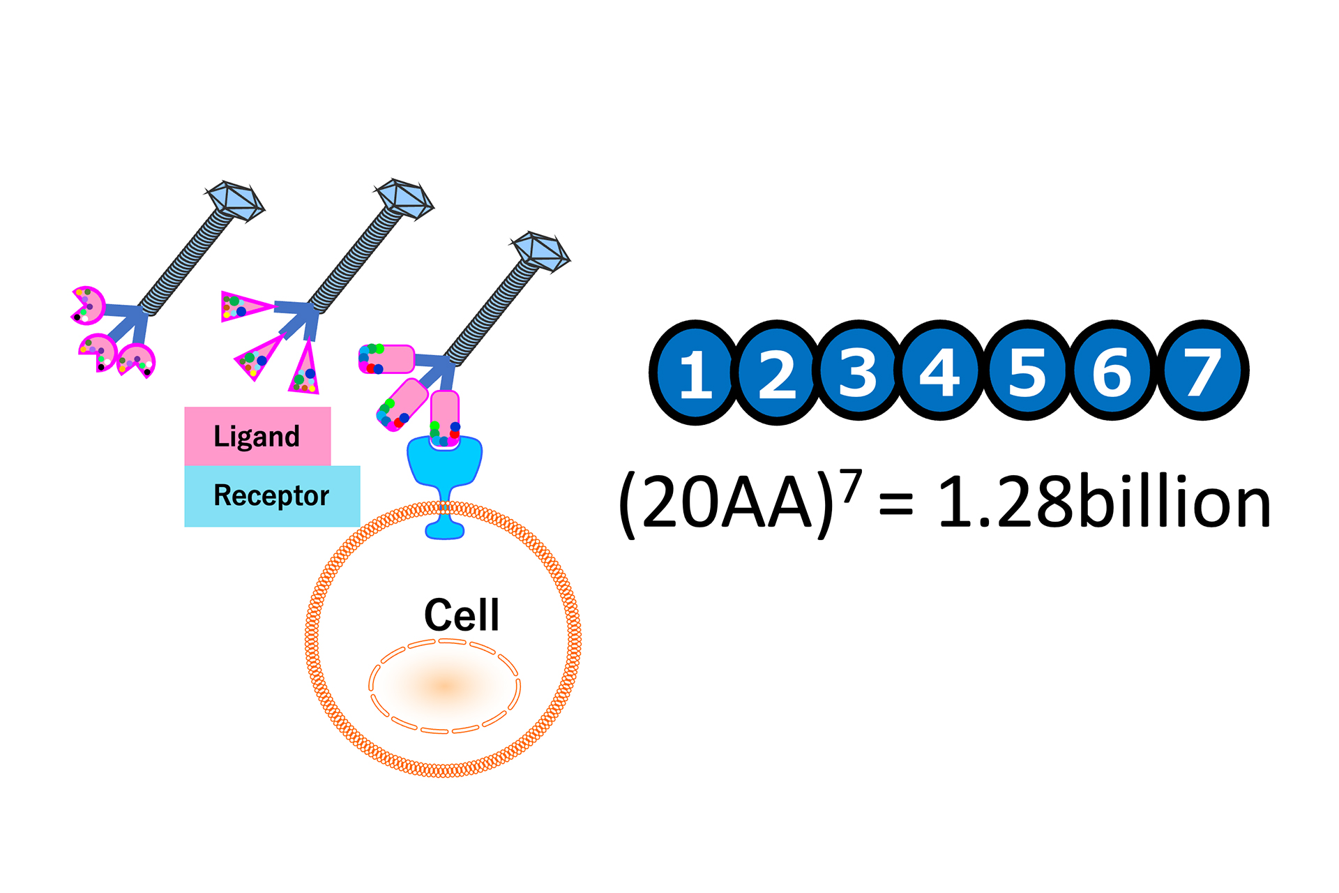 Utilizing Biozipcode Technology